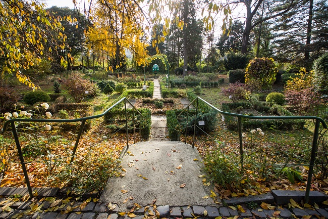 Ужгородский ботанический сад (ул. Ольбрахта, 6)